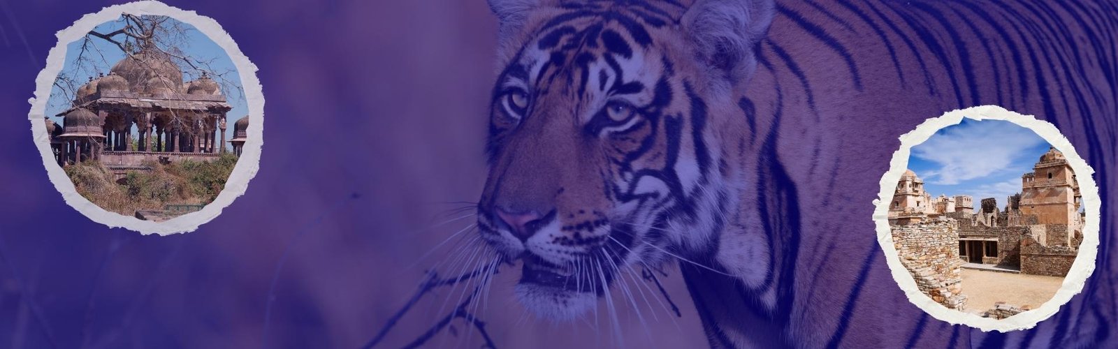 Jaipur Chittorgarh Ranthambore Tour Header