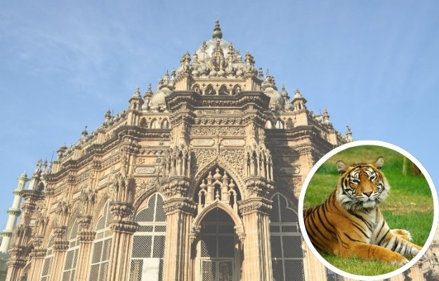 Gems Of Gujarat Tour